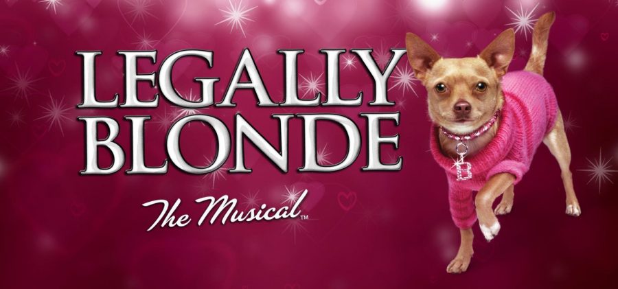 PA Players present Legally  Blonde